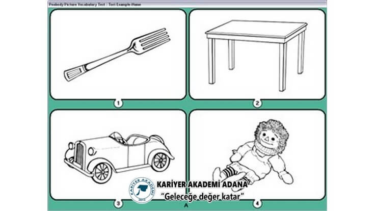 Peabody Resim Kelime Eşleştirme Testi